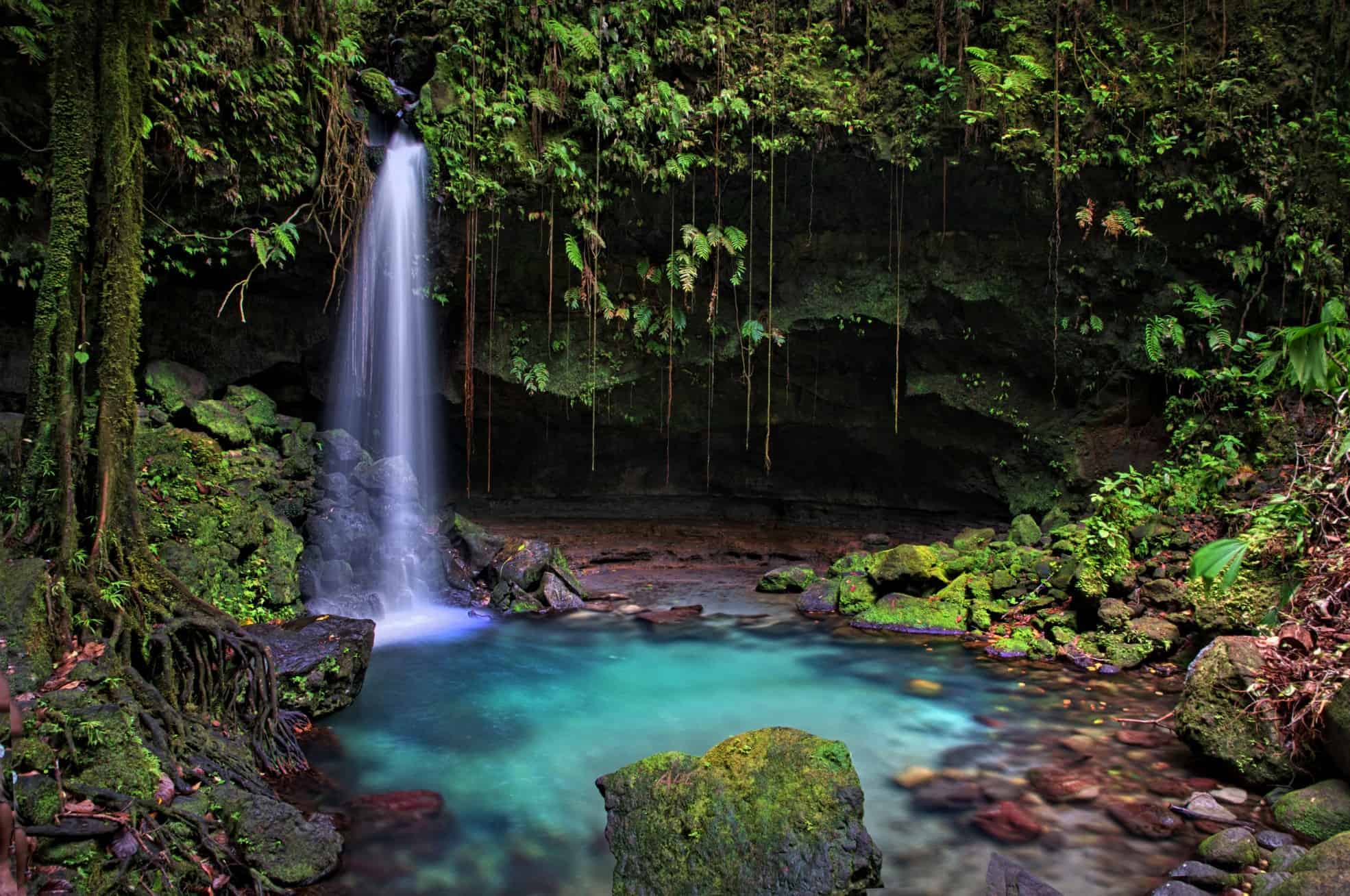 Emerald Pool, Kalinago Territory, Dominica
